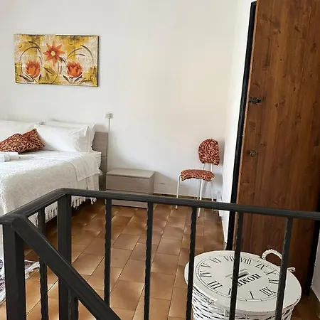 Girasole * 첼라노